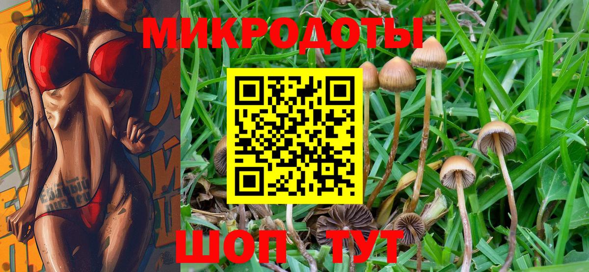 Галлюциногенные грибы прущие грибы Минусинск