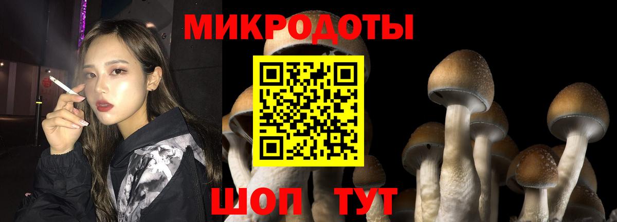 Минусинск  Галлюциногенные грибы GOLDEN TEACHER  Вход с VPN  Псилоцибиновые грибы Cubensis 